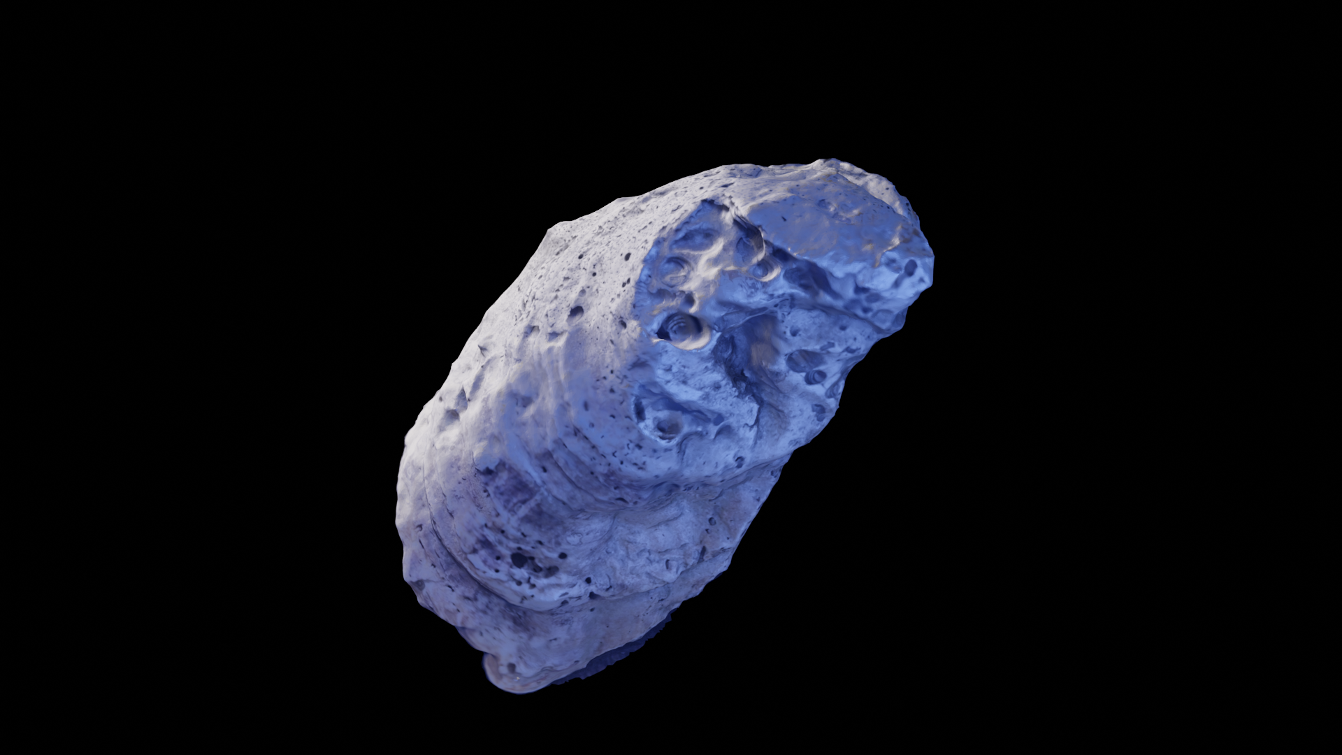 3d scan of oyster
